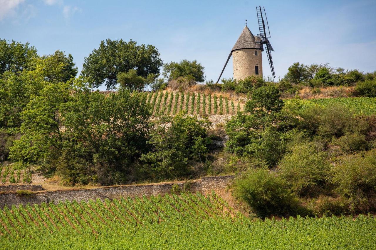 Camping De Santenay Сантене Екстериор снимка