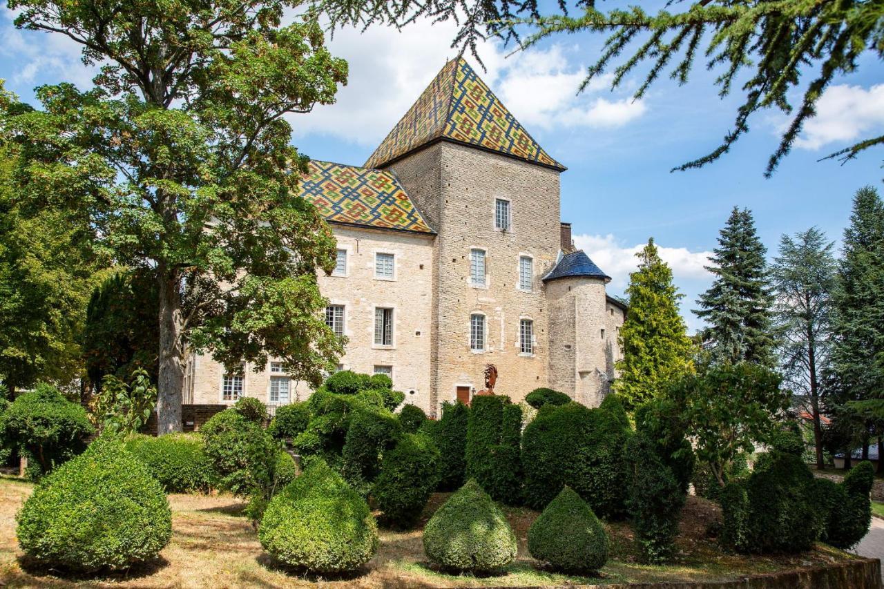 Camping De Santenay Сантене Екстериор снимка